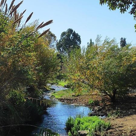 Villa By The River Facing The Hermon In Kibbuz Dafna Exterior foto