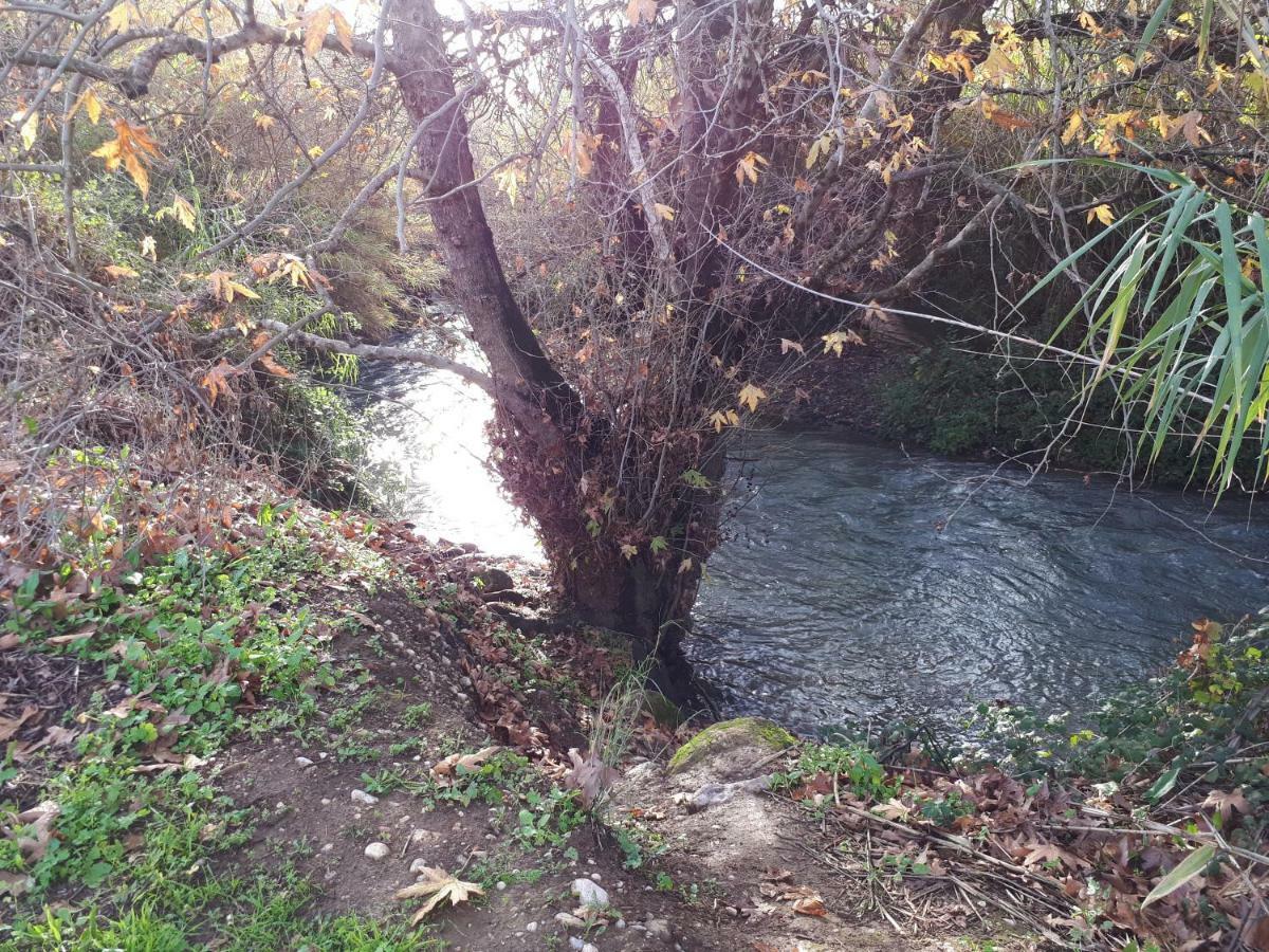 Villa By The River Facing The Hermon In Kibbuz Dafna Exterior foto