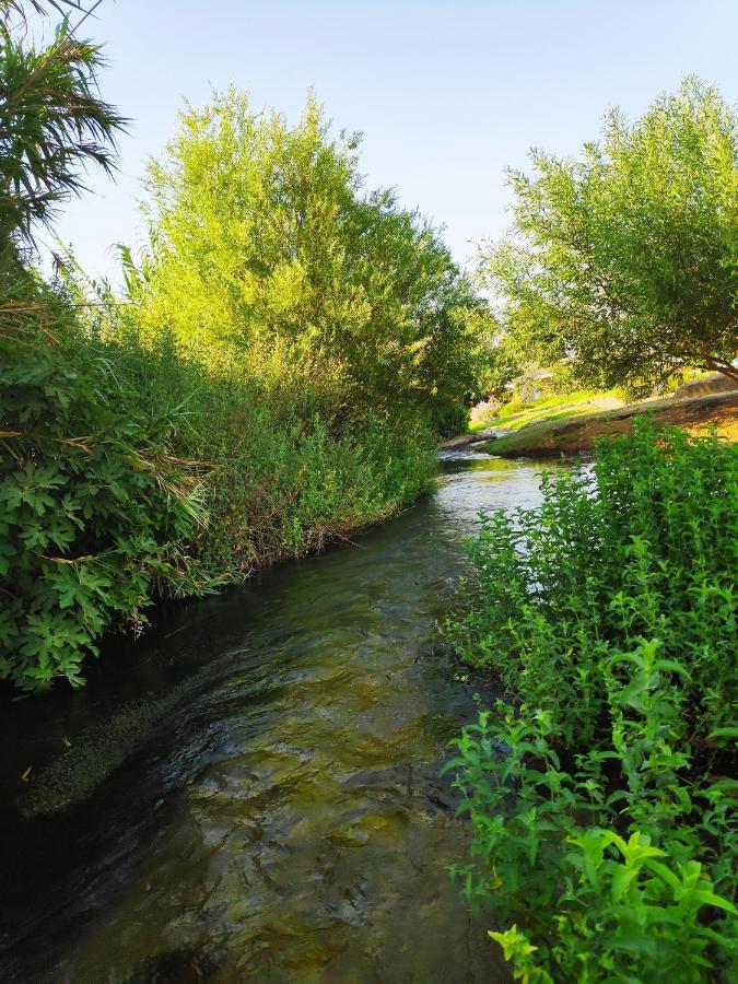Villa By The River Facing The Hermon In Kibbuz Dafna Exterior foto