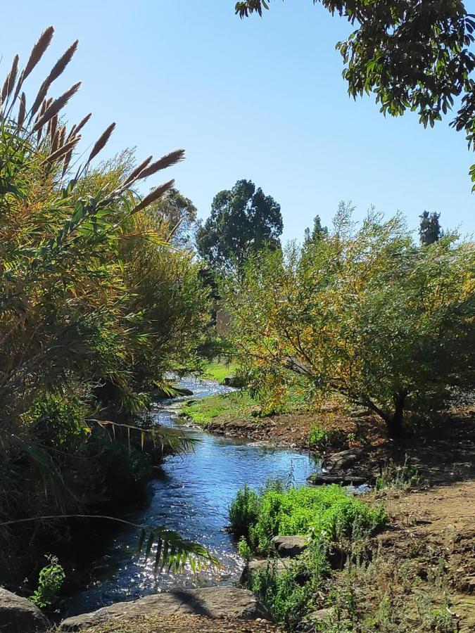 Villa By The River Facing The Hermon In Kibbuz Dafna Exterior foto